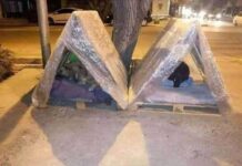 En esta temporada de frío, no te olvides de los perritos y gatitos de la calle.