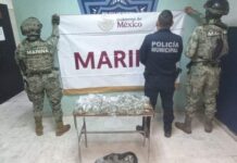 EN OPERATIVO COORDINADO SSPM Y MARINA DETIENEN A SUJETO CON MOTOCICLETA ROBADA Y ENCUENTRAN DOSIS DE DROGAS*