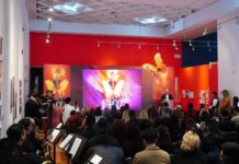 Gobernador Durazo deslumbra con más de 750 artistas de lujo en 40 aniversario de FAOT