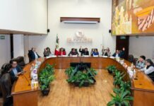 IEE Sonora ajusta presupuesto para fortalecer capacidades rumbo al Proceso Electoral Extraordinario 2025*