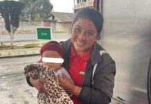 La dejan trabajar con su bebé en brazos, conmueve en redes sociales.