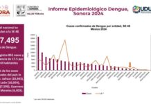 Sonora continúa con tendencia a la baja en casos confirmados de dengue: Salud Sonora*