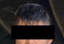 Incauta Gobierno de Sonora narcótico durante operativo de Binomios Caninos PESP