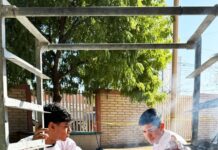 Estudiantes de Conalep Sonora presentan productos innovadores en la Feria de Proyectos Finales 2024