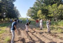 Consolida Cobach Sonora programa internacional de Escuela Agroecológica