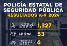 Binomios caninos K-9 de la Policía Estatal fortalecen operativos en Sonora