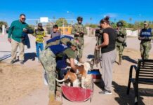 REALIZAN CON ÉXITO FERIA DE SERVICIOS EN LA COLONIA LOS PIONEROS DE CAJEME