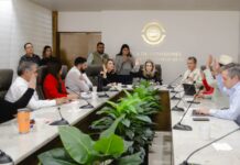 Comisión de Hacienda aprueba modernización de estructura tecnológica estatal