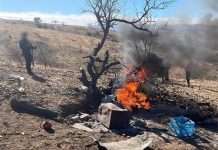 Gobierno de Sonora destruye campamento en acciones contra la delincuencia