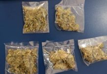 Incauta Gobierno de Sonora narcótico en operativo Cajeme