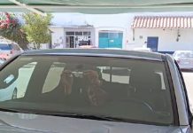 REINICIA GOBIERNO DE SONORA EN NAVOJOA COLOCACIÓN DE HOLOGRAMA DE NUEVA GENERACIÓN: REPUVE SONORA