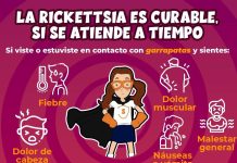 Salud Sonora llama a ciudadanía a trabajar en conjunto para prevenir la rickettsiosis