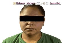 EN ACCIONES SIMULTÁNEAS, FUERON DETENIDAS NUEVE PERSONAS EN EL ESTADO DE MÉXICO EN POSESIÓN DE HIDROCARBURO, DROGAS Y UN ARMA*