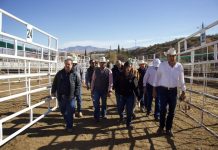 Gobierno de Sonora listo para recibir inspección de EU y reanudar exportación de ganado
