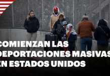 Comienzan las deportaciones de Trump: arrestan a más de 300 migrantes, asegura el zar de la frontera