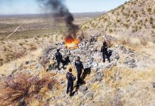 Reporta SSP más de 400 detenidos en estrategias de seguridad y combate a la violencia en enero*