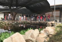 Contribuye Cobach Sonora a la protección exitosa de especie endémica de pez