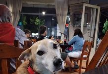 En la entrada de un restaurante, había un letrero que decía esto: