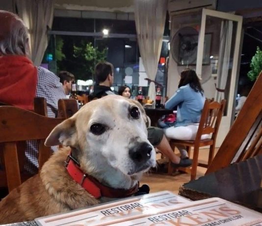 En la entrada de un restaurante, había un letrero que decía esto: