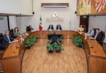 IEE Sonora aprueba Lineamientos y Reglamento para órganos electorales desconcentrados en el PEEPJL 2025*