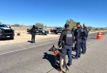 Asegura Gobierno de Sonora más de 5 mil dosis de narcótico en operativos de la Policía Estatal*