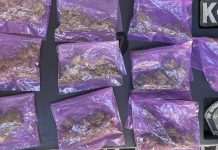 Asegura Unidad K-9 de la Policía Estatal sustancias prohibidas en operativo por Hermosillo