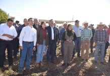 ACOMPAÑA JAVIER LAMARQUE AL GOBERNADOR ALFONSO DURAZO EN ARRANQUE DEL PLAN EMERGENTE DE RASTREO FITOSANITARIO EN CAJEME*