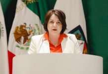 Hagamos gobernanza al darle viabilidad jurídica a la Comisión de Parlamento Abierto: Gabriela Félix