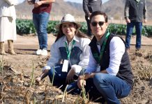 Inaugura Gobierno de Sonora VI Summit Internacional de Espárrago en Caborca