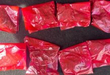 *Binomio canino del Gobierno de Sonora genera resultados en operativo de Hermosillo*