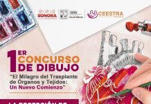 CONVOCA GOBIERNO DE SONORA A PRIMER CONCURSO DE DIBUJO DEL CENTRO ESTATAL DE TRASPLANTES