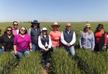 Visita CCME instalaciones del Cimmyt en el Valle del Yaqui