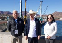 Con Plan Sonora, Gobernador Durazo atrae interés de naviera danesa para invertir en el Puerto de Guaymas*