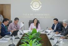 Analiza Comisión de Minería del Congreso de Sonora situación del sector minero