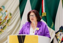 Propone Morena prohibir la publicidad sexista.