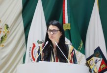 Diputada Ernestina Castro busca establecer en la ley el delito de Violencia Económica Postseparación.