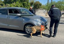 Promueve Gobierno de Sonora operativos de la Policía Estatal para unas vacaciones seguras