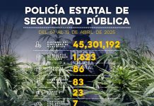 Trabaja Gobierno de Sonora en acciones contra el delito