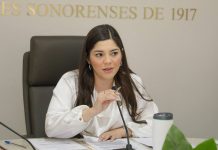Comisión de Salud aprueba iniciativas para la atención psicológica, prevención del suicidio y salud mental