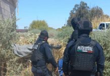 Realiza Gobierno de Sonora acciones contra la delincuencia