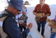 INICIA LA SEMANA DE LA SALUD 2025 EN CAJEME