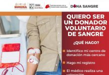 *Gobierno de Sonora informa: Lo que debes saber sobre la donación de sangre