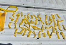 Gobierno de Sonora localiza narcótico en Cerro de la Campana gracias a labores de inteligencia: SSP