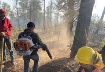 AVANZA CONTROL DE INCENDIO FORESTAL EN NÁCORI CHICO