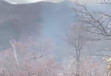 GOBIERNO DE SONORA AVANZA EN EL COMBATE DE INCENDIOS FORESTALES