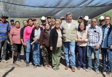 PERSONAS BENEFICIARIAS DEL PROGRAMA SEMBRANDO VIDA EN SONORA RECIBIRÁN SU PAGO ESTE 15 DE MAYO: OCTAVIO ALMADA PALAFOX