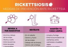 Gobierno de Sonora exhorta a acudir al médico ante síntomas de rickettsiosis*