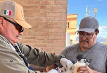 *Gobierno de Sonora lleva servicios de salud preventiva a través de clínicas móviles*