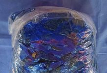 Gobierno de Sonora asegura a persona armada con más de 700 envoltorios de sustancia ilícita