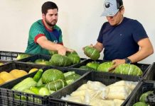 Impulsa Gobierno de Sonora formación integral y práctica del alumnado de la UES